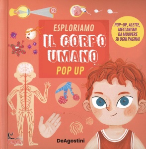 Ingrandisci immagine