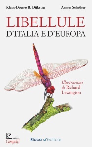 Ingrandisci immagine