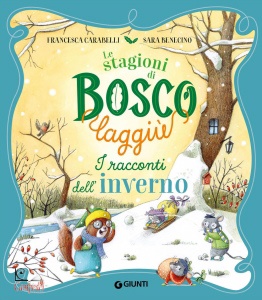 Ingrandisci immagine