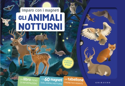 Ingrandisci immagine