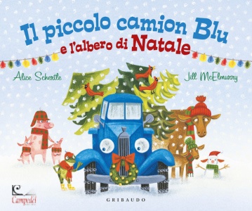 Ingrandisci immagine