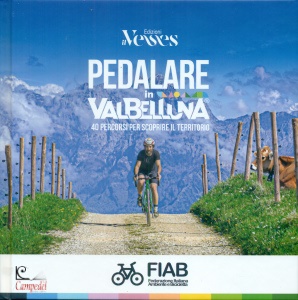 Ingrandisci immagine