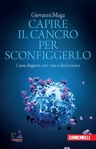 Ingrandisci immagine