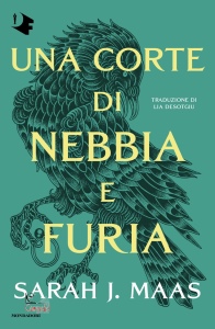 Ingrandisci immagine