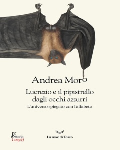 Ingrandisci immagine