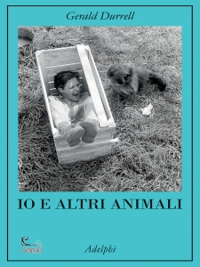 Ingrandisci immagine