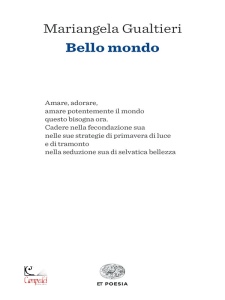 Ingrandisci immagine