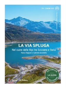 Ingrandisci immagine