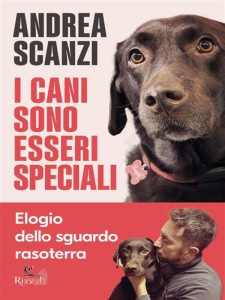 Ingrandisci immagine