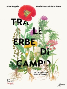 Ingrandisci immagine