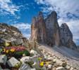 Clicca per ingrandire