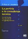 PISTONE GIORGIO, Perizia e la consulenza tecnica