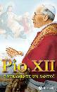 CIONCHI GIUSEPPE, Pio XII � veramente un santo