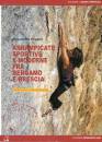 immagine di Arrampicate sportive moderne fra Bergamo e Brescia