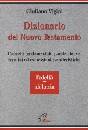 VIGINI GIULIANO, Dizionario del nuovo testamento