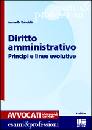 CRISAFULLI ANTONELLA, Diritto amministrativo principi e linee evolutive