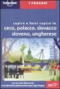 immagine di Frasario ceco, polacco, slovacco, sloveno, unghere