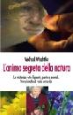 immagine libro