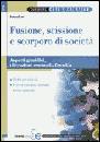 ENNA GIOVANNI, Fusione scissione e scorporo di societ�