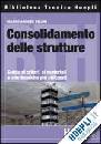 PISANI MARCO ANDREA, Consolidamento delle strutture