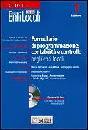 immagine di Formulario di programmazione contabilit� controllo