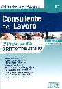 SIMONE, Consulente del lavoro 2� prova scritta