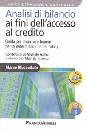 MUSCETTOLA MARCO, Analisi di bilancio ai fini accesso al credito