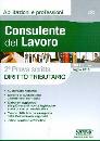 SIMONE, Consulente del lavoro 2� prova scritta