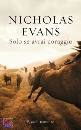 Evans Nicholas, solo se avrai coraggio