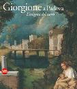 U. Soragni D. Banzat, Giorgione e padova. L