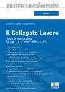 CAZZOLA PELLICCIA, Il collegato lavoro