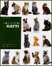 BRUNETTI MILENA, Il grande libro dei gatti