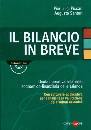 PICCARI - SANTORI, Il bilancio in breve