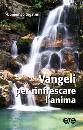 SIGALINI DOMENICO, Vangeli per rinfrescare l