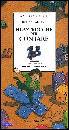 immagine libro