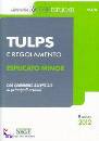 SIMONE, TULPS e regolamento