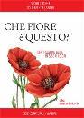 immagine di Che fiore e