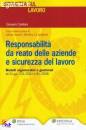 CATELLANI GIOVANNI, Responsabilit� da reato delle aziende e sicurezza