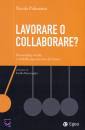 PALMARINI NICOLA, Lavorare o collaborare ?
