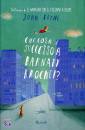 Boyne John, che cosa � successo a barnaby brocket?
