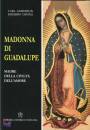 ANDERSON-CHAVEZ, Madonna di Guadalupe