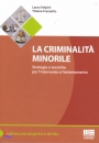 VOLPINI - FRAZZETTO, La criminalit� minorile