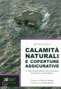 immagine di Calamita