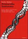 MOLINO WALTER, Protocollo fantasma