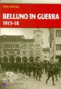 immagine Belluno in guerra. 1915-1918