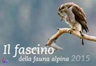 immagine libro