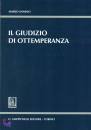 immagine di Giudizio di ottemperanza