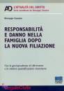 Cassano Giuseppe, Responsabilit� e danno nella famiglia  dopo ...