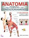 Liebman Hollis Lance, Anatomia forza e condizionamento