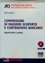 AGNESE ANDREA, Commissione di massimo scoperto e contenzioso ban.
